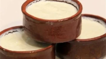 فوائد مذهلة تجعل الزبادي خيارك المثالي لتعزيز المناعة وصحة الجهاز الهضمي والوزن